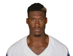 David Irving