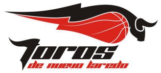 Toros de Nuevo