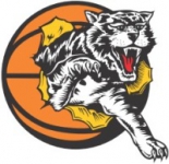 Willetton Tigers W