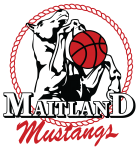 Maitland Mustangs W