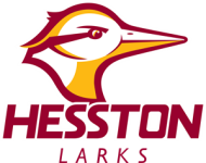 Hesston Larks W