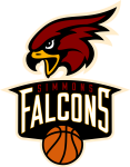 Simmons College Falcons W