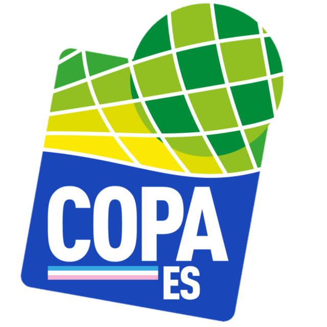 Copa Espírito Santo logo