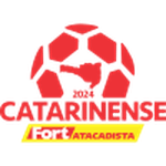 Campeonato Catarinense Flag