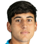 G. Vargas