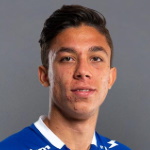 F. Krastev PEC Zwolle player