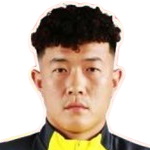 Dong Hang Shijiazhuang Y. J. player