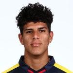P. Hincapié Ecuador player
