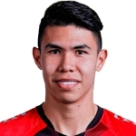 N. Hernández Internacional player
