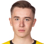 P. Wålemark Heerenveen player