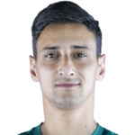 Fadi Mohammed Khalel Al Natour player photo