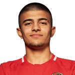 Selman Çiftkanatlı