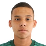 Gustavo Garcia Palmeiras player