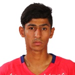 Mohammad Moslemipour player photo