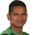 Rogério VfL Wolfsburg player