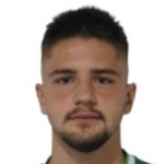 Bakir Brajlović player photo