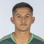 Player representative image Miguel Villaroel
