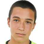 P. Andreev Levski Sofia player