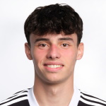 N. Oliveira Hamburger SV player