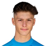 S. Hamzić FC Liefering player