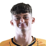 S. Palmer-Houlden Newport County player