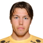 F. Bjørkan Bodo/Glimt player