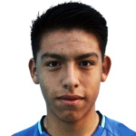 D. Enríquez Deportivo Binacional player
