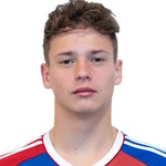 M. Pető Videoton FC player