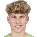 Harald Postl player photo