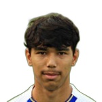 Damian van Dijk player photo