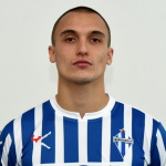 Nikola Vukajlović Napredak player