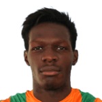 Fabrice N'Sakala Profile