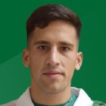 Nicolás Hugo Linares Palestino player photo