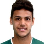 Ronaldo Henrique Silva