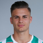 M. Steinwender TSV Hartberg player