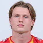 Daam Wonnebald Foulon KV Mechelen player photo