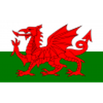 Wales U19 team logo