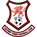 Saltney Town team logo