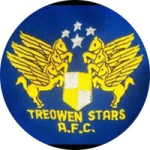 Treowen Stars