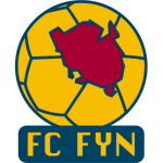 What do you know about Fyn team?