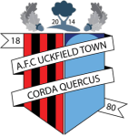 AFC Uckfield