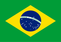 Brazil U17 team logo