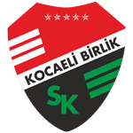 Kocaeli Birlikspor