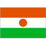 Away team Niger logo. Algeria vs Niger predictions and betting tips