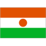 Niger-team-logo