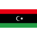 Libya shield