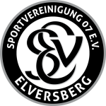 Elversberg U19 team logo