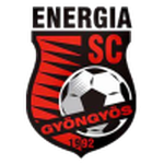 Energia Gyöngyös team logo