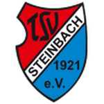TSV Steinbach II shield