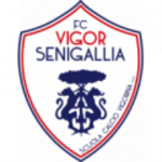 Vigor Senigallia shield
